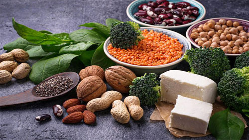 plant-based proteins