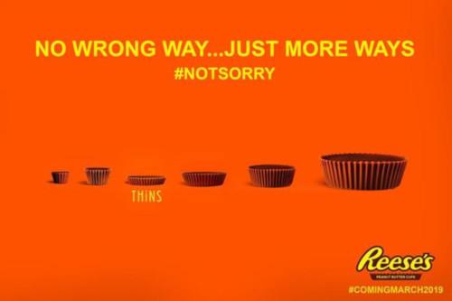 Reese's Thins