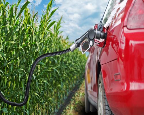 Renewable fuel image of a car getting fuel from a cornfield