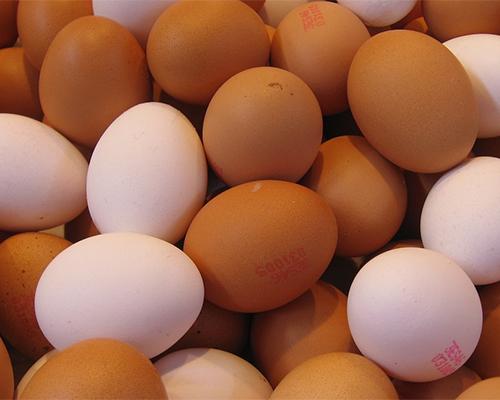 Cage-free eggs