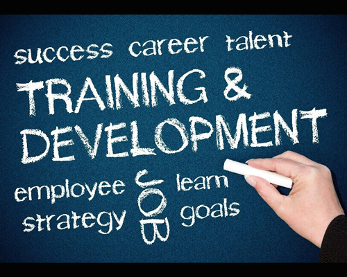 Employee Training Key Terms