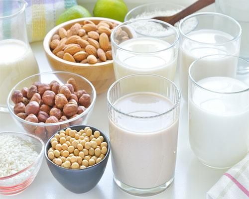 plant-based alternative milk options