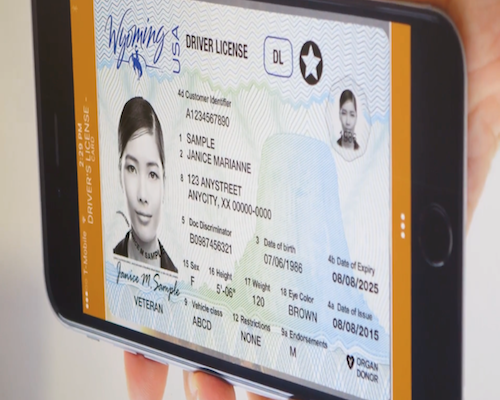 Digital Driver’s License