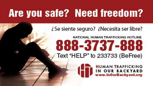 human trafficking hotline sticker