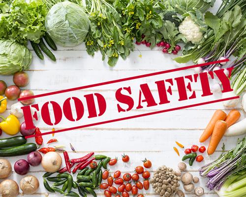 food safety teaser