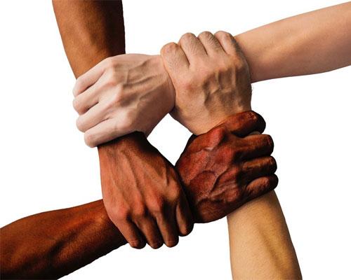 diversity
