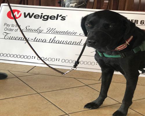 Weigel's Smoky Mountain Service Dog fundraiser