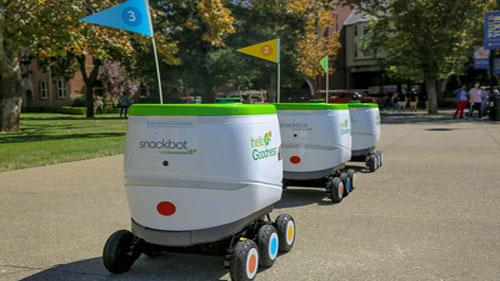 a fleet of snackbots
