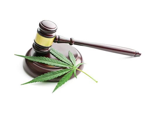 Legalized cannabis