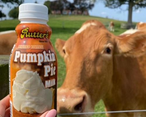 Rutter's Pumpkin Pie Milk