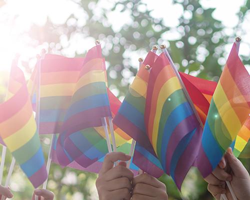 LGBTQ flags