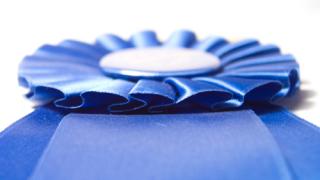 A blue ribbon prize