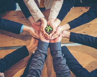 corporate sustainability