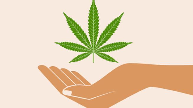 Hemp and CBD 
