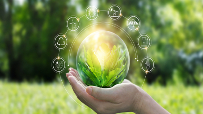 sustainable products