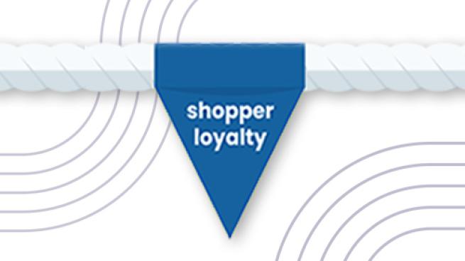 Shoptology Pepviz Report