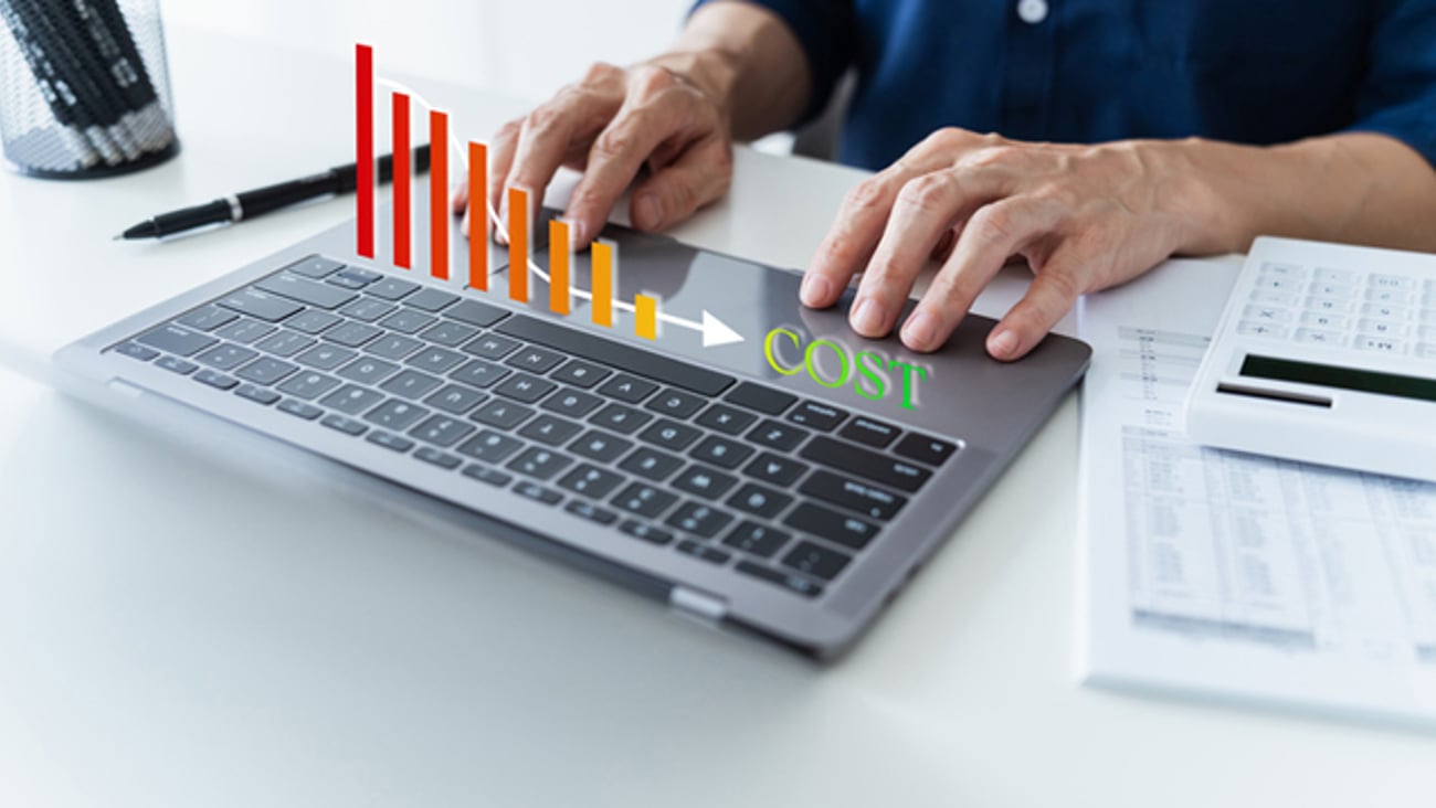 A person crunching numbers at a computer