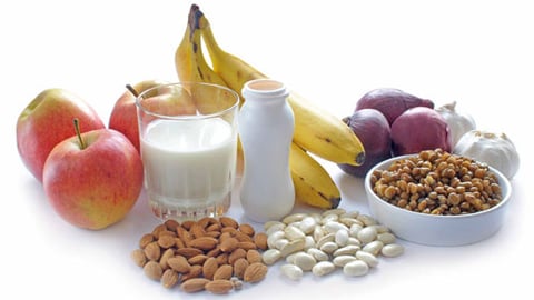 probiotic and prebiotic foods