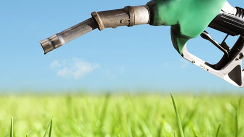 a gas nozzle in a corn field