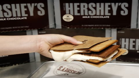 Hershey's Chocolate World Times Square S'mores Experience