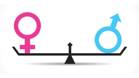 gender equality teeter