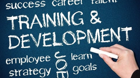 Employee Training Must-Dos