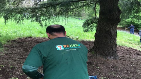 7-Eleven associate planting tree as part of RENEW