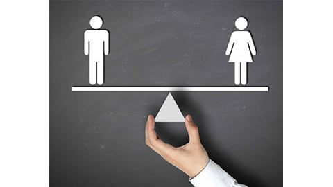 Gender equality graphic