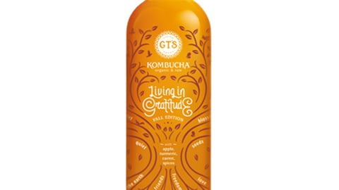 GT’s Kombucha Living in Gratitude