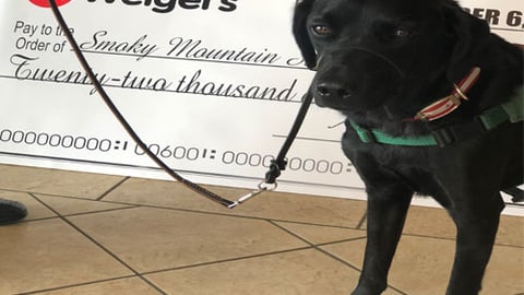 Weigel's Smoky Mountain Service Dog fundraiser