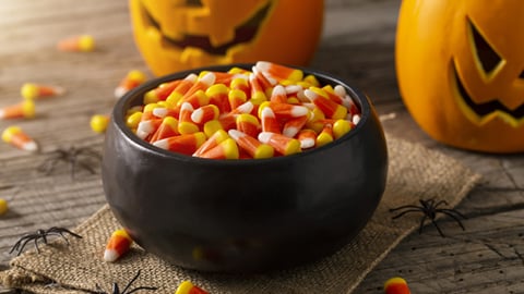 Halloween candy and pumpkins