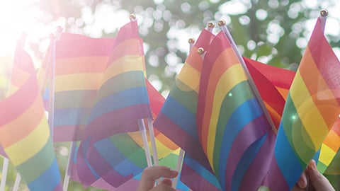 LGBTQ flags 