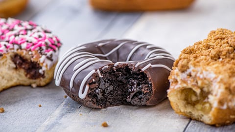 Rich's Filled Dessert Donuts & Jumbo Filled Donut Bites