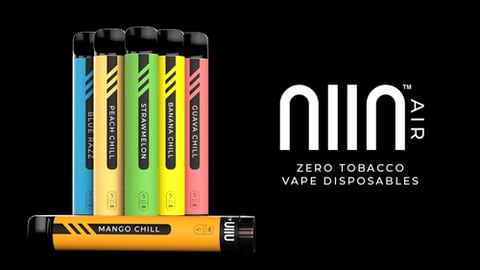 NIIN Air Synthetic Tobacco-Free Nicotine Disposable