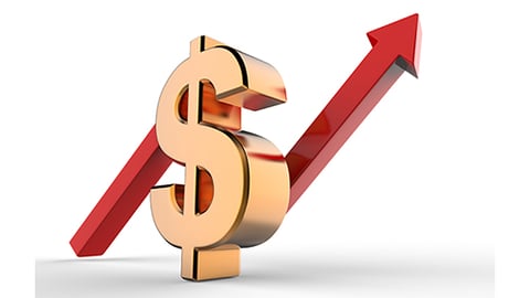 rising dollar sales