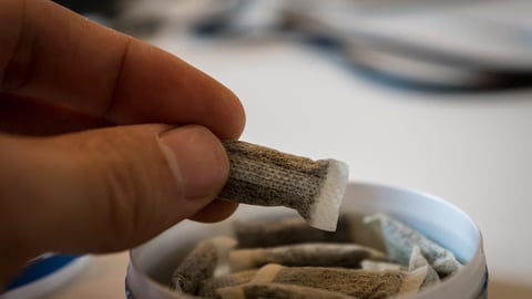 Modern oral pouches in a tin