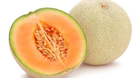 Cantaloupe