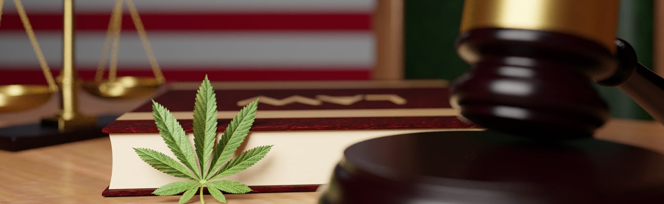 Cannabis regulation and legalization