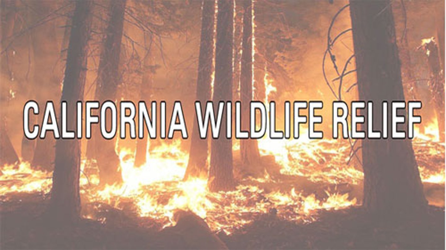 California wildfire relief